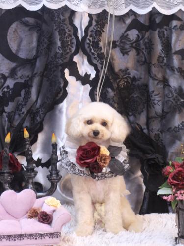 20231026リコちゃん